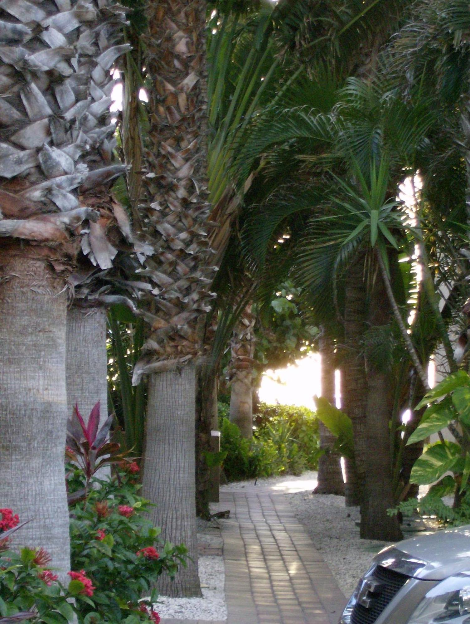 Turtle Crawl Inn - Longboat Key Extérieur photo